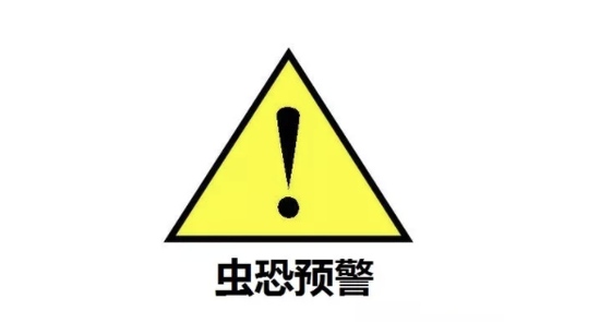 南方虫子都很大比如……脸那么大的扑棱蛾子